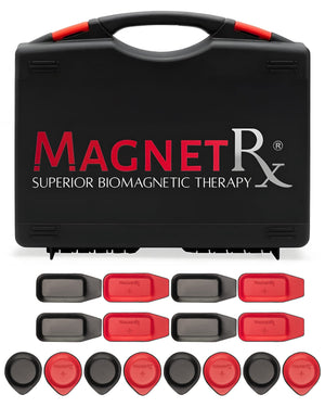 Biomagnetic Therapy Magnet Kit — Ferrite & Leather (16 Small Mixed Units)