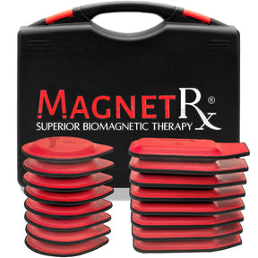 Kit de Terapia Biomagnética con Imanes - Ferrita y Cuero (16 Unidades Pequeñas Mixtas)