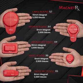 Biomagnetic Therapy Magnet Kit — Ferrite & Leather (22 Mixed Units)